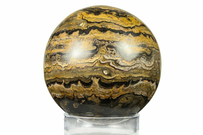 Polished Stromatolite (Greysonia) Sphere - Bolivia #302435